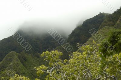 Mountain Fog Mountain Fog