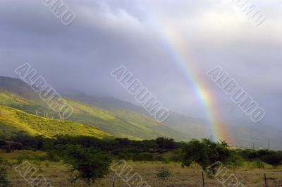 Tropical Rainbow Tropical Rainbow