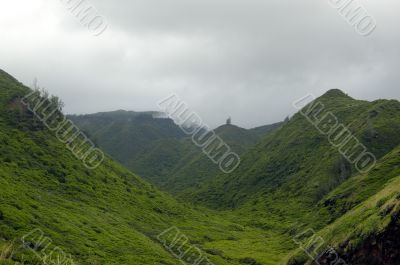 Tropical countryside II