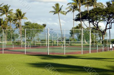 Tropical Tennis court