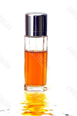 Female Perfume Female Perfume