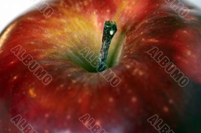 An Apple An Apple
