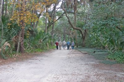 well traveled path