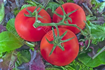 tomato trio on bed of lettuce