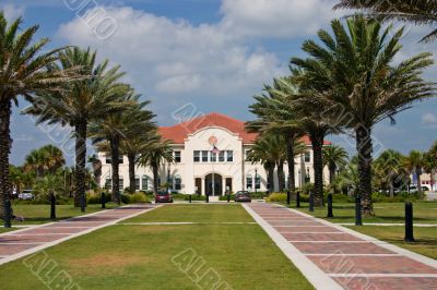 tropical city hall tropical city hall
