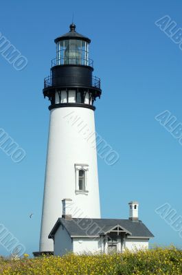 Ocean Lighthouse