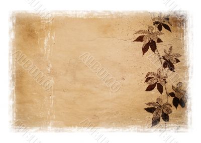 grunge floral background with white border