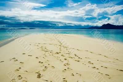 footprints in the tropical beach