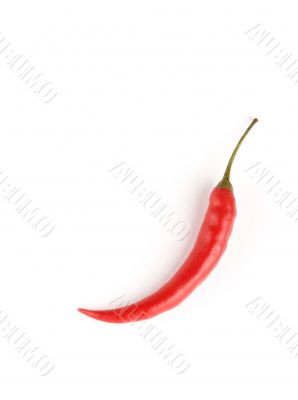 chili