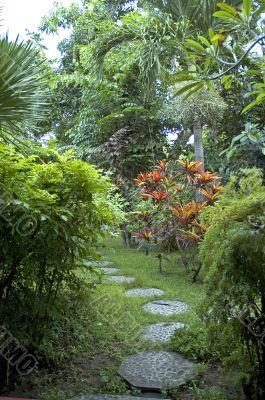 path in eastern garden