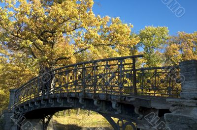 autumn bridge