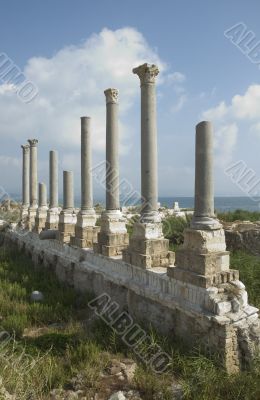 Ancient columns of Tyre, Lebanon