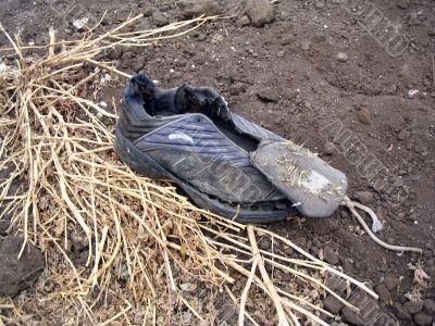 Old dirty torn shoe lay on the ground