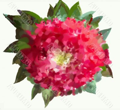 Painted flower aster