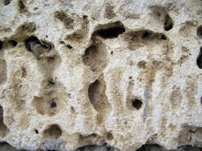 Wall of ill-white bricks. big picture. macro.