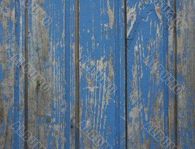 old blue wooden wall - perfect grunge background