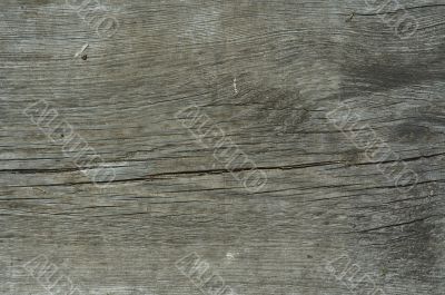 old wood texture