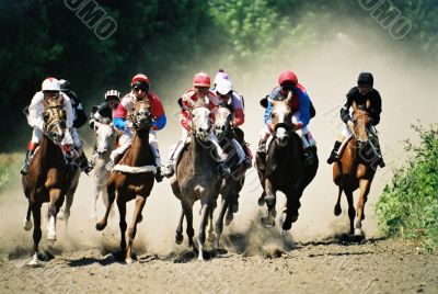 Horses. Horses.