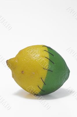 Stitched Lemon and Lime