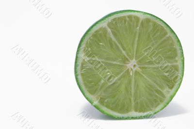 Green Lime Green Lime