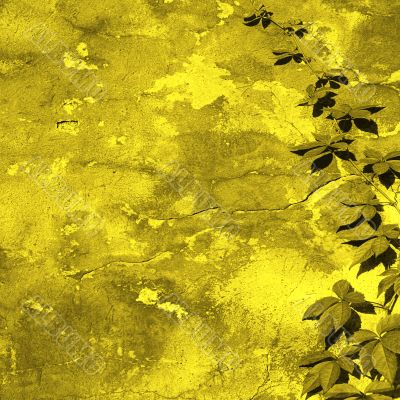 yellow wall yellow wall