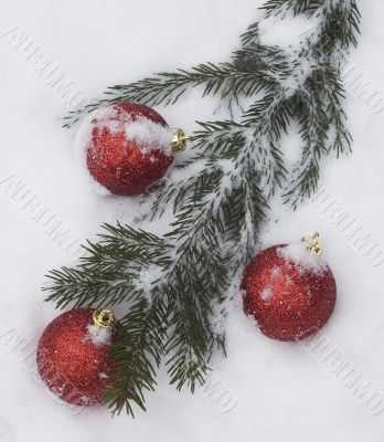 christmas tree branch with decorations covered with snow
