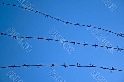 Barbed wire against a blue sky Barbed wire against a blue sky