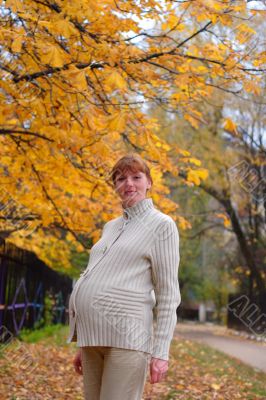 Pregnant woman walk in autumn park #2