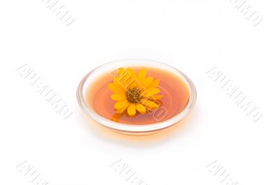 Herbal drink with flower isolated on white #1