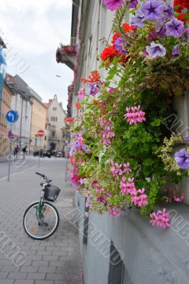 bicycle on street with flowers wall