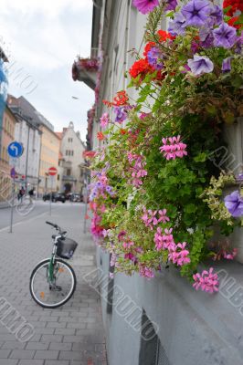 bicycle on street with flowers wall bicycle on street with flowers wall