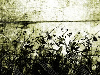 Foliage grunge