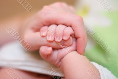 Baby hold mother finger on your hand Baby hold mother finger on your hand
