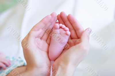 Father gently hold baby`s leg in your hands #2