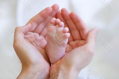 Father gently hold baby`s leg in your hands #1