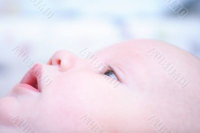 Baby`s face in profile close-up Baby`s face in profile close-up