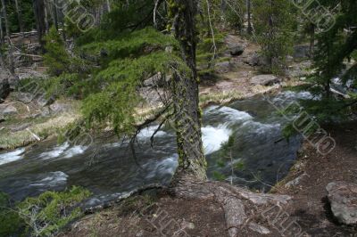 Paulina Creek, blurred, moving water