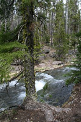 Paulina Creek, blurred, moving water