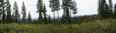 Panorama of central Oregon