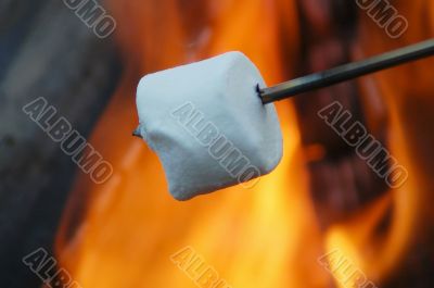 Roasting Marshmallow