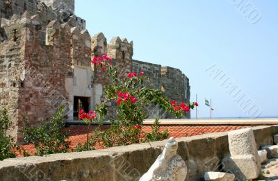 Castle of Saint Peter. Museum of underwater archeology in Bodrum