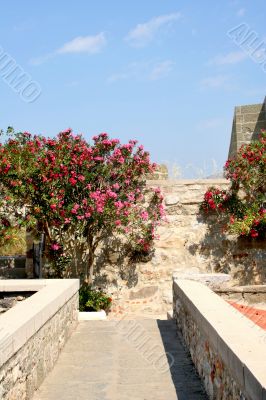 Castle of Saint Peter