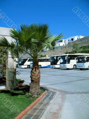 Turkey resort. Coaches