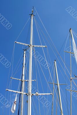 Mast of yachts