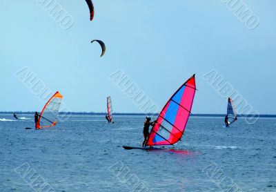 windsurfers and kitesurfers on waves of a gulf