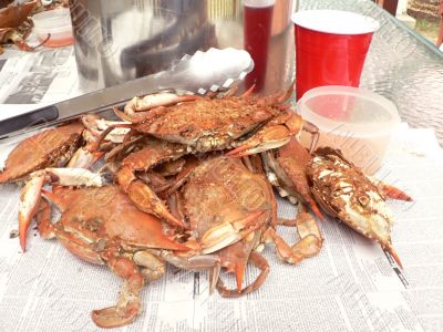 crab - cooked blue crabs 8
