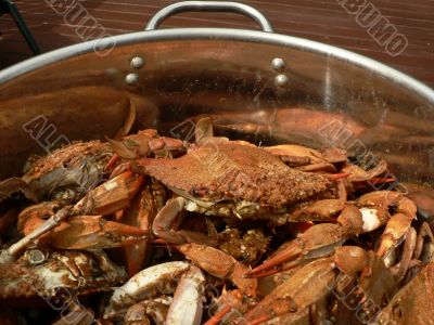 crab - cooked blue crabs 9