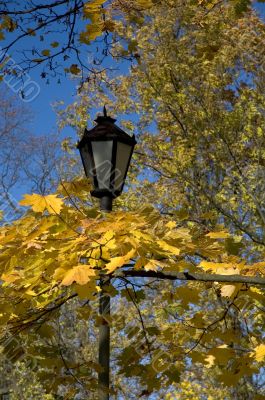 street lamp street lamp