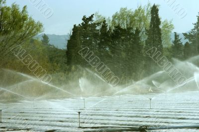 Irrigation