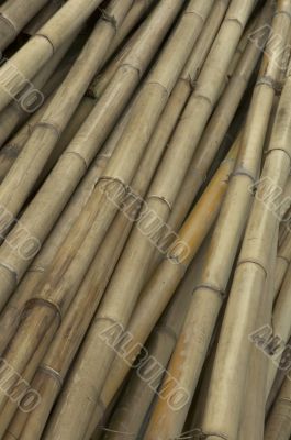 bamboo bamboo